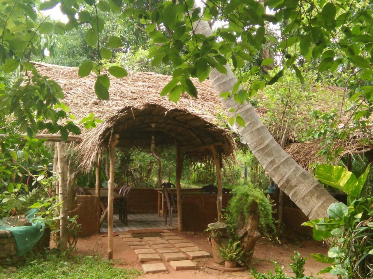 Gimanhala Cottage & Cookary Class Анурадхапура Екстериор снимка